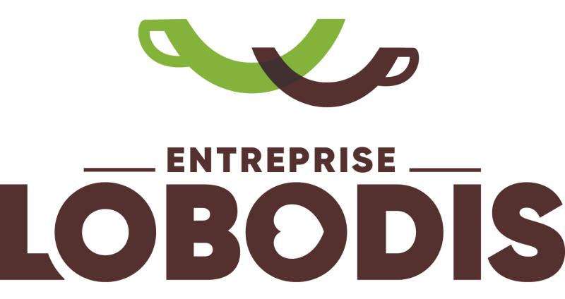 logo_corporate_lobodis_trichromie